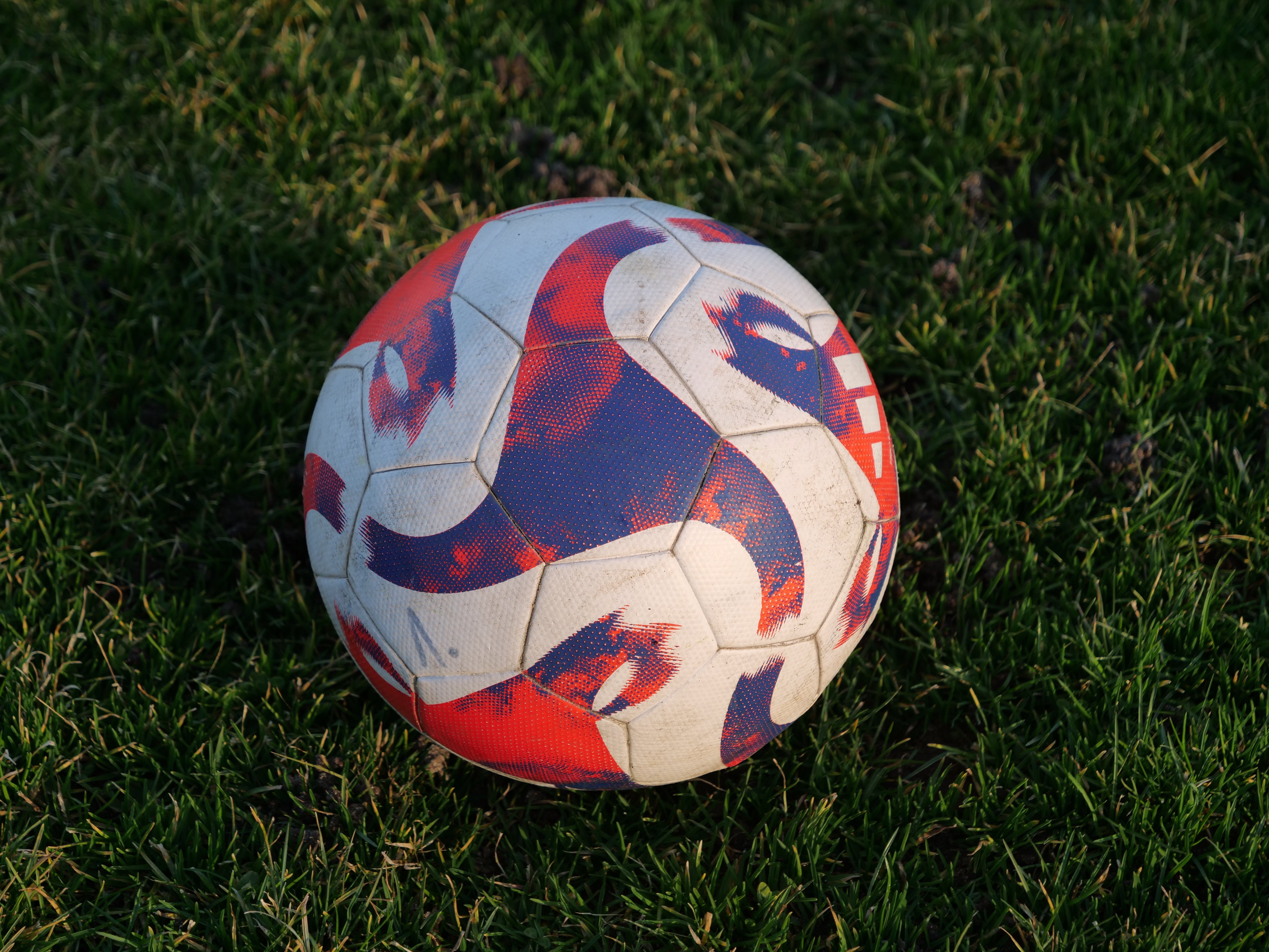 Freiburger FC Bild 2